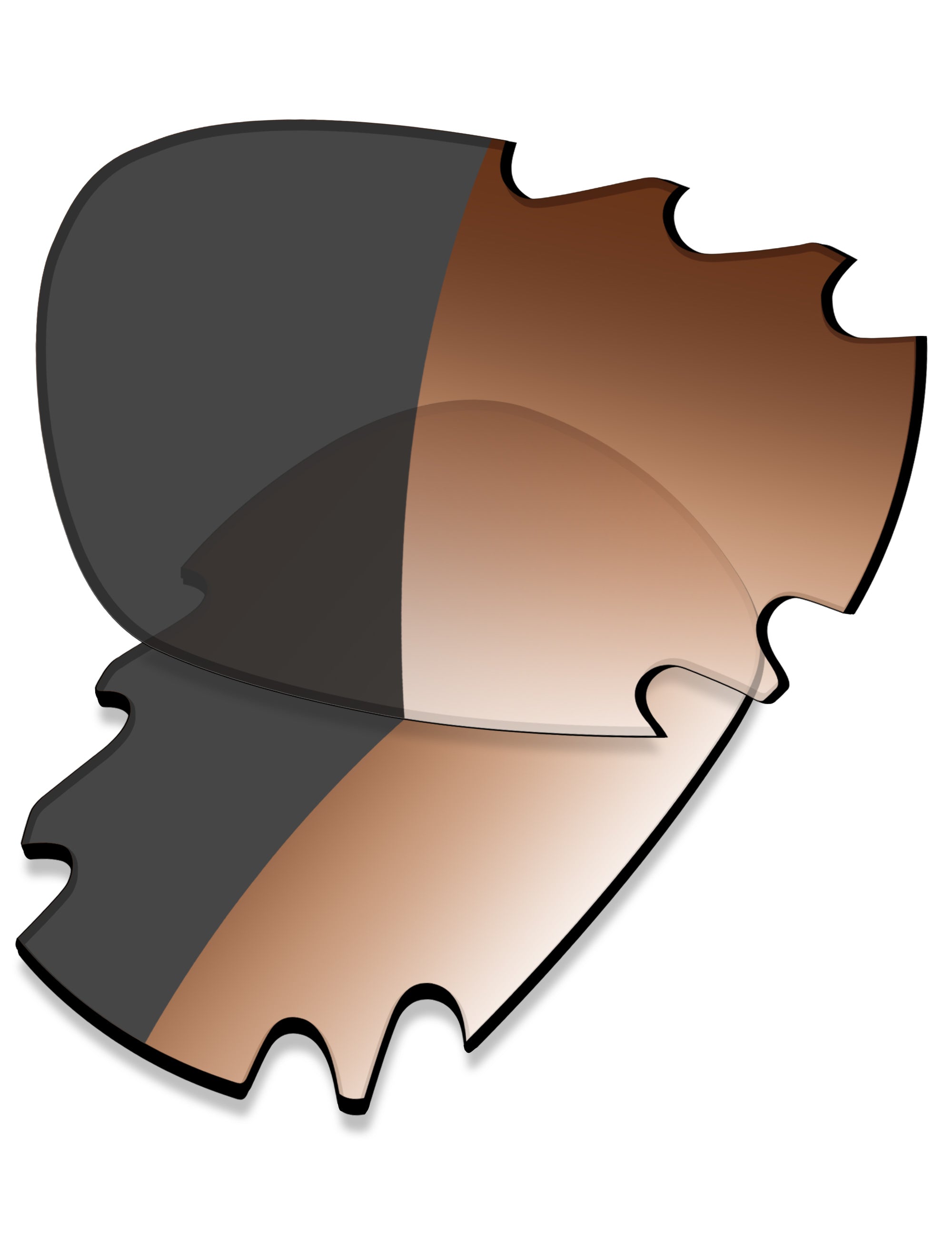 Brown Gradient Gray Photochromic
