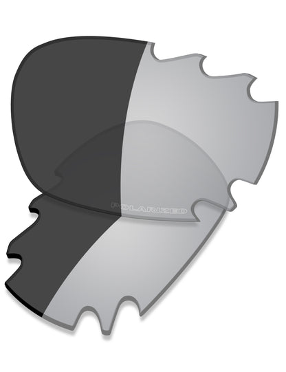 Gray Photochromic Polarized