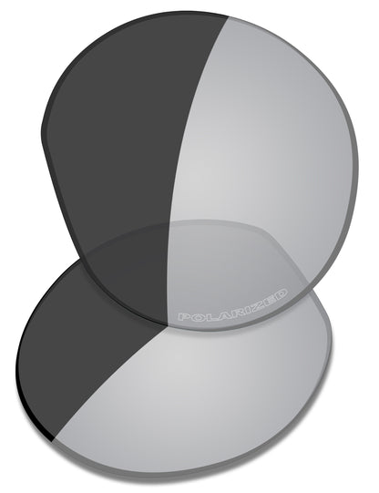 Gray Photochromic Polarized
