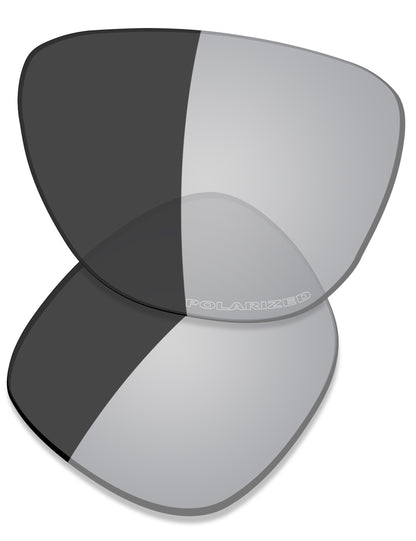 Gray Photochromic Polarized
